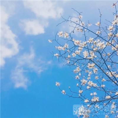 jn江南体育下载